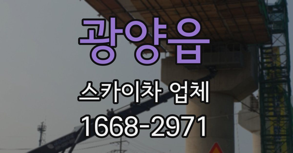 광양읍 스카이차 업체