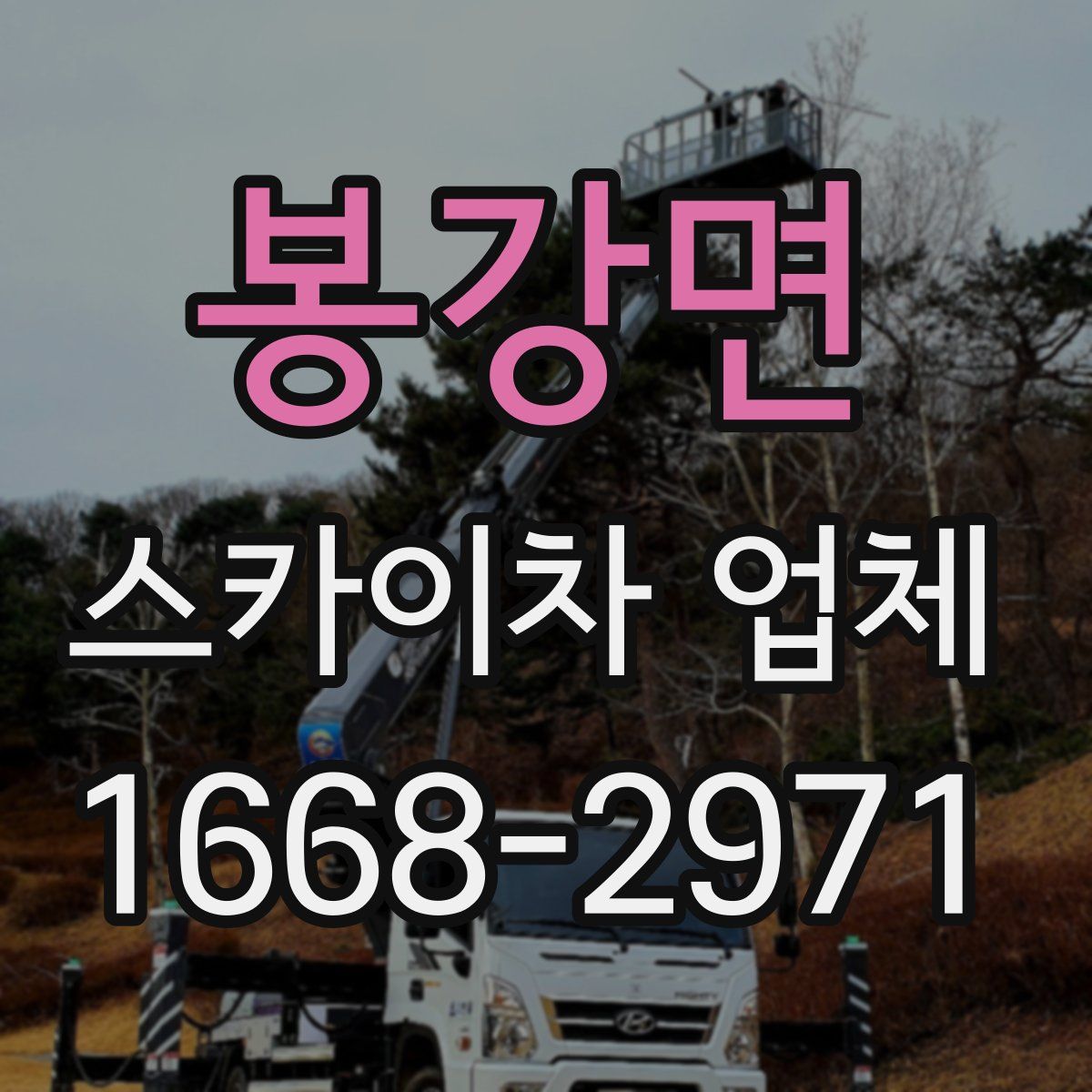 봉강면 스카이차 업체