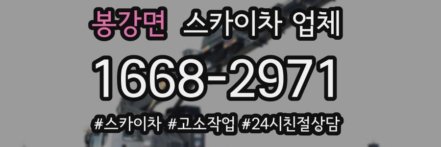 봉강면 스카이차 업체