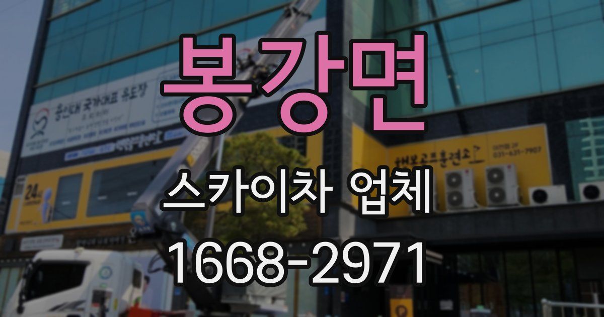 봉강면 스카이차 업체