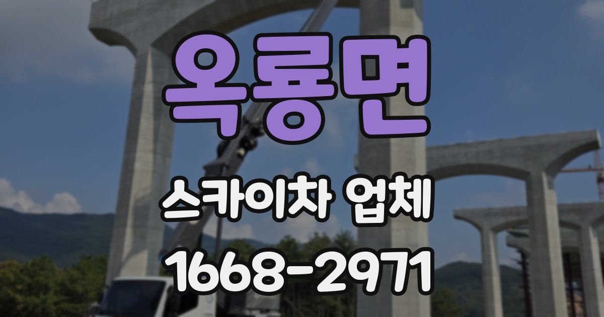 옥룡면 스카이차 업체