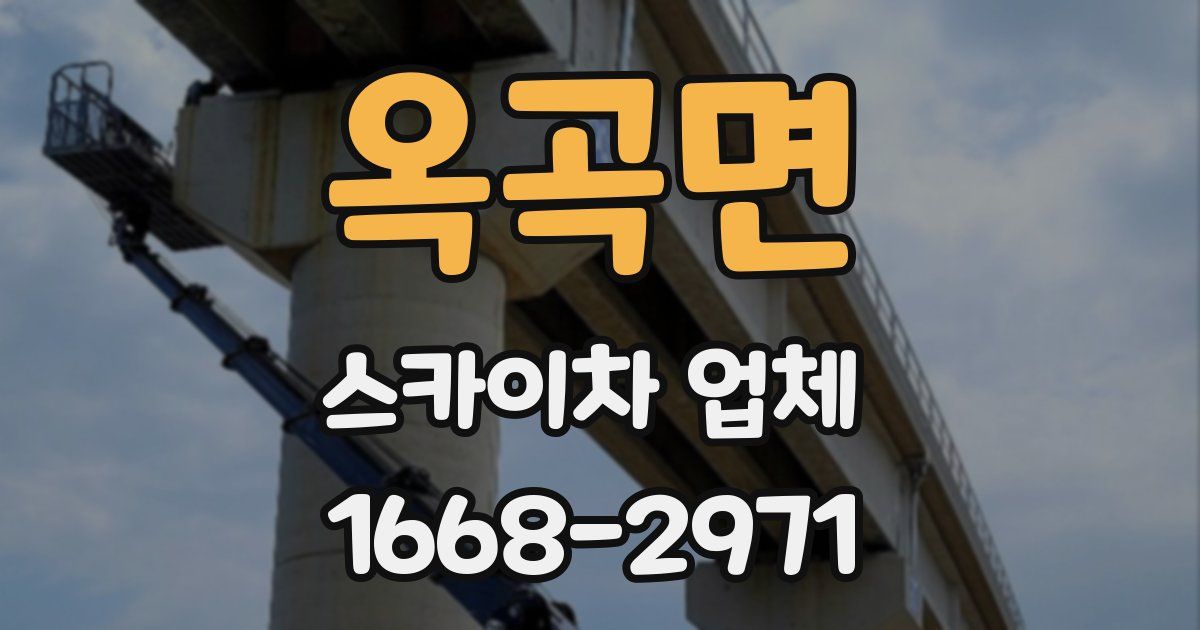 옥곡면 스카이차 업체