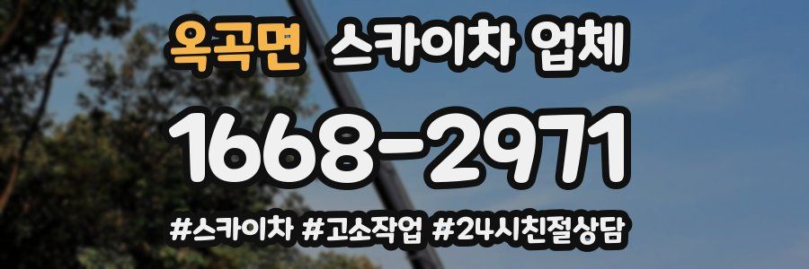 옥곡면 스카이차 업체