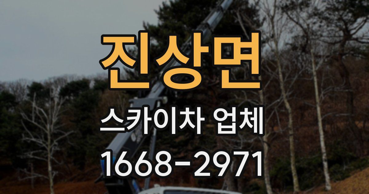 진상면 스카이차 업체