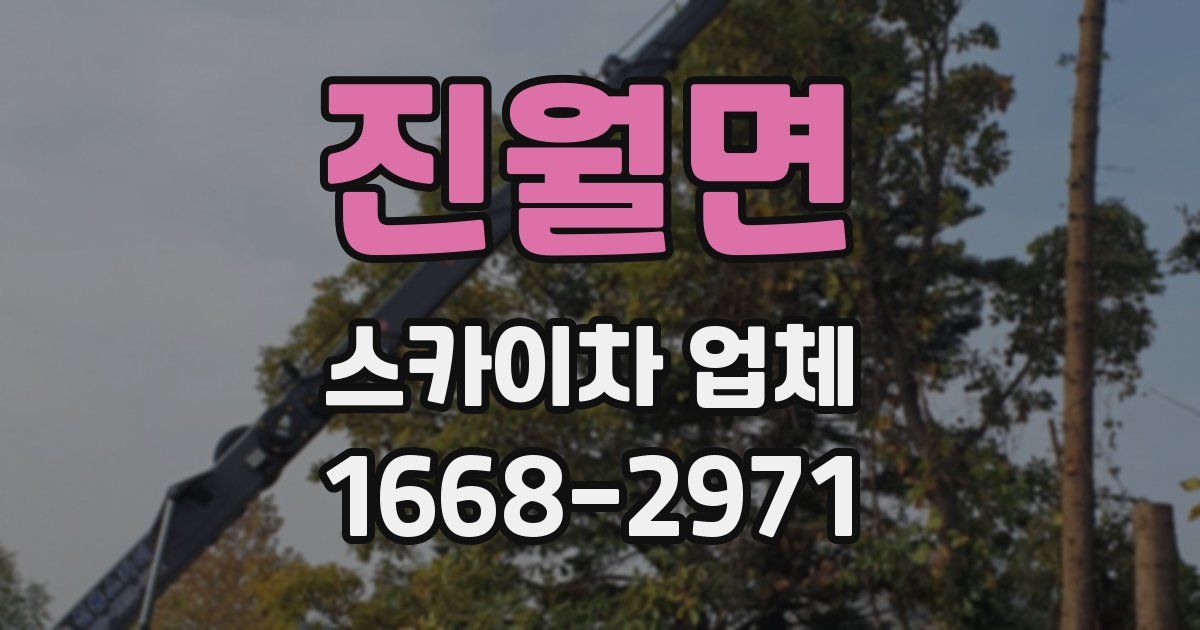 진월면 스카이차 업체