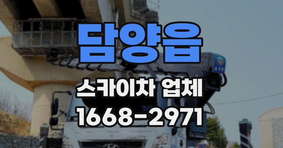 담양읍 스카이차 업체