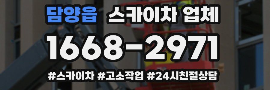 담양읍 스카이차 업체