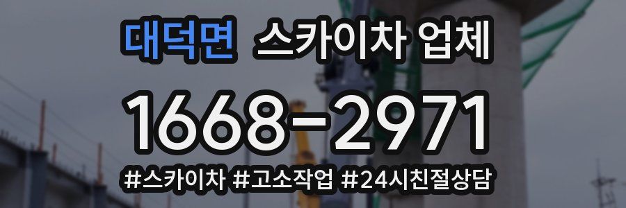 대덕면 스카이차 업체