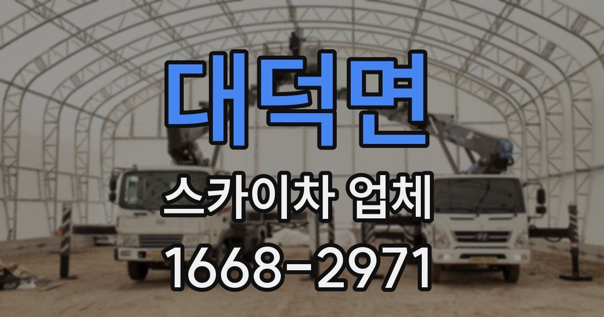 대덕면 스카이차 업체