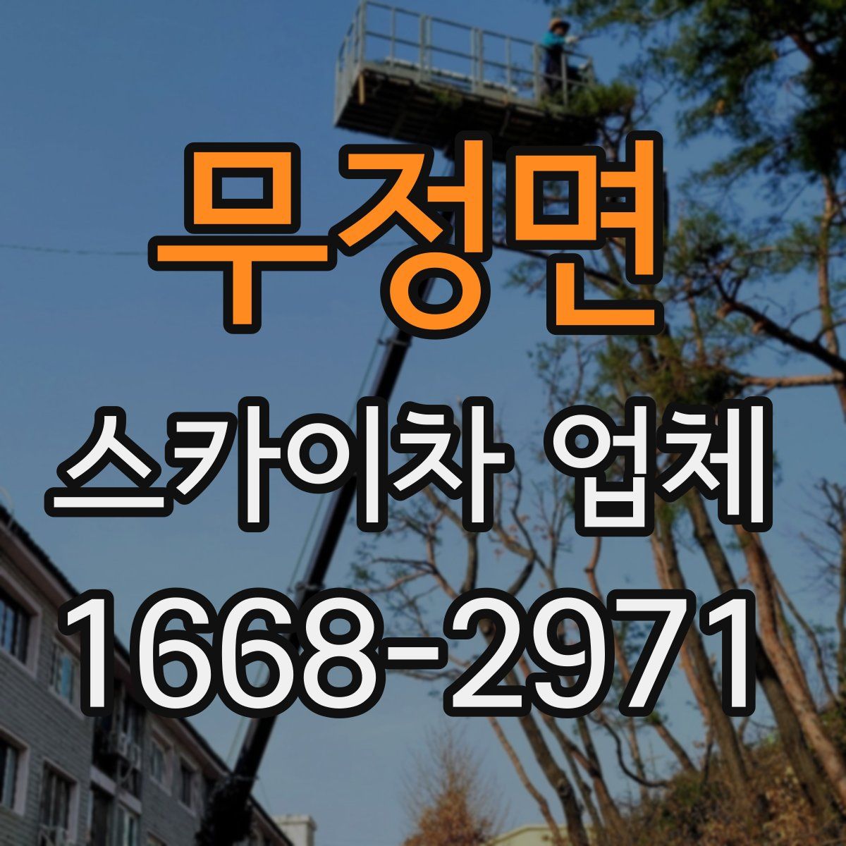 무정면 스카이차 업체