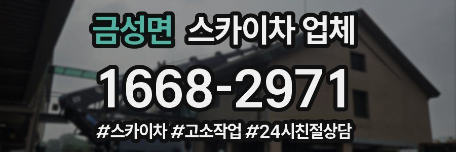 금성면 스카이차 업체