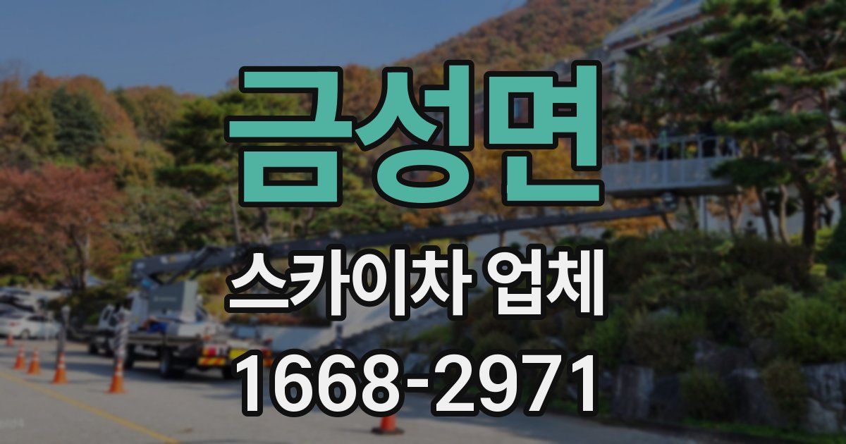 금성면 스카이차 업체