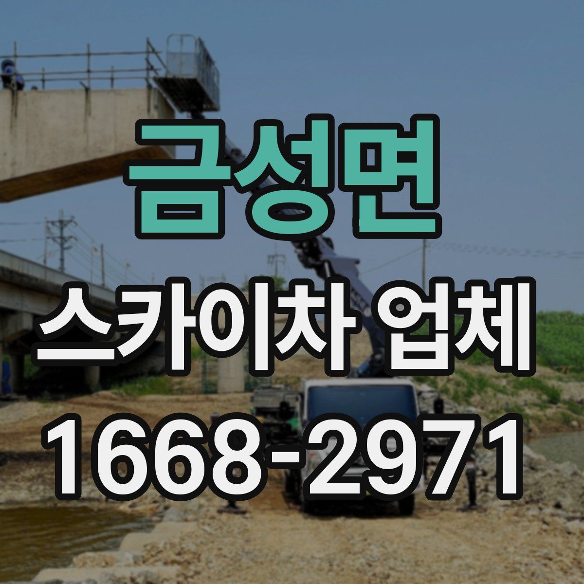 금성면 스카이차 업체