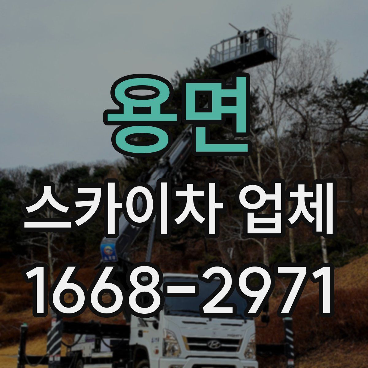 용면 스카이차 업체