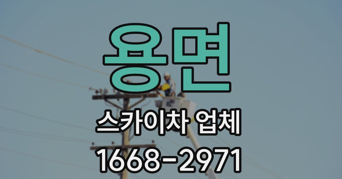 용면 스카이차 업체