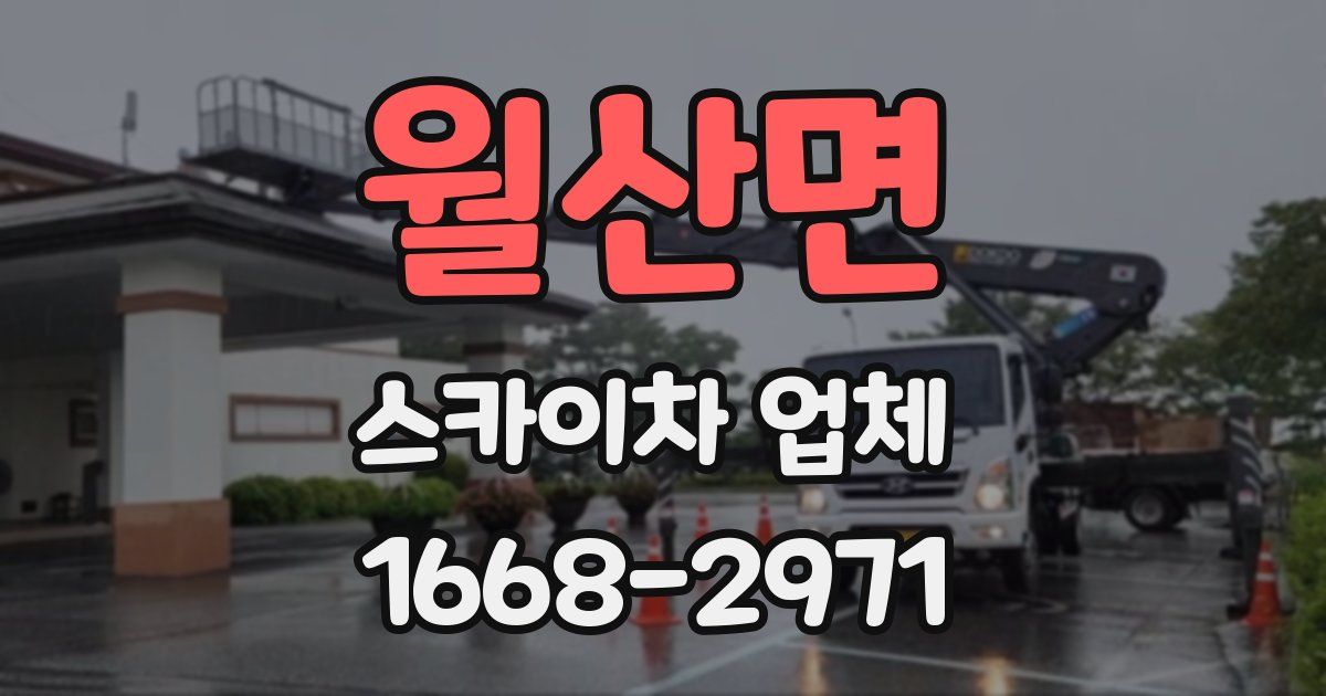 월산면 스카이차 업체
