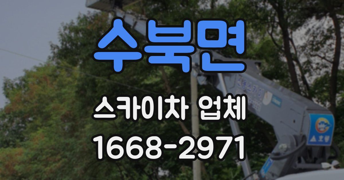 수북면 스카이차 업체