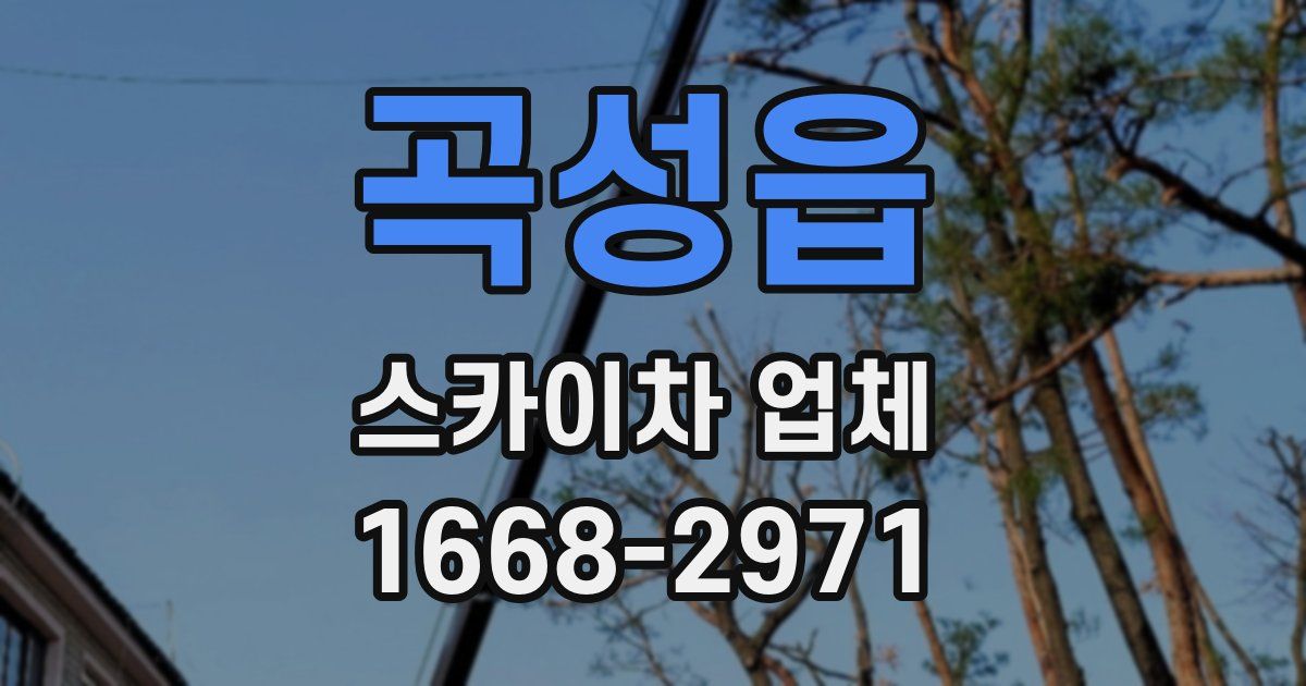 곡성읍 스카이차 업체