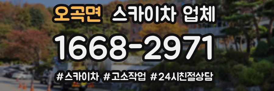 오곡면 스카이차 업체