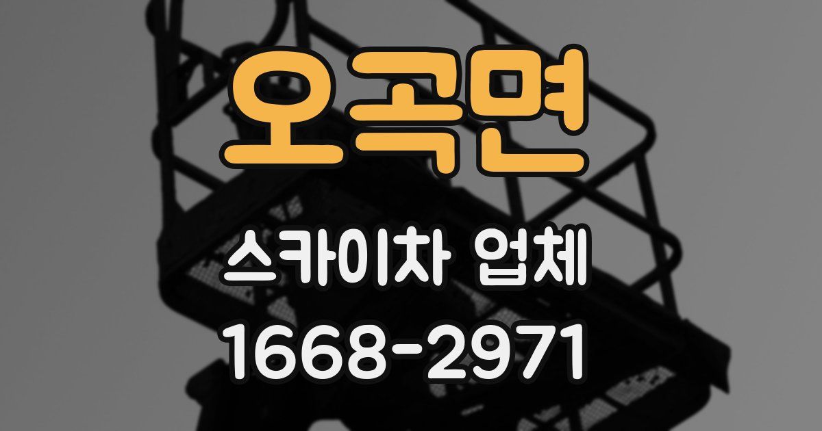 오곡면 스카이차 업체