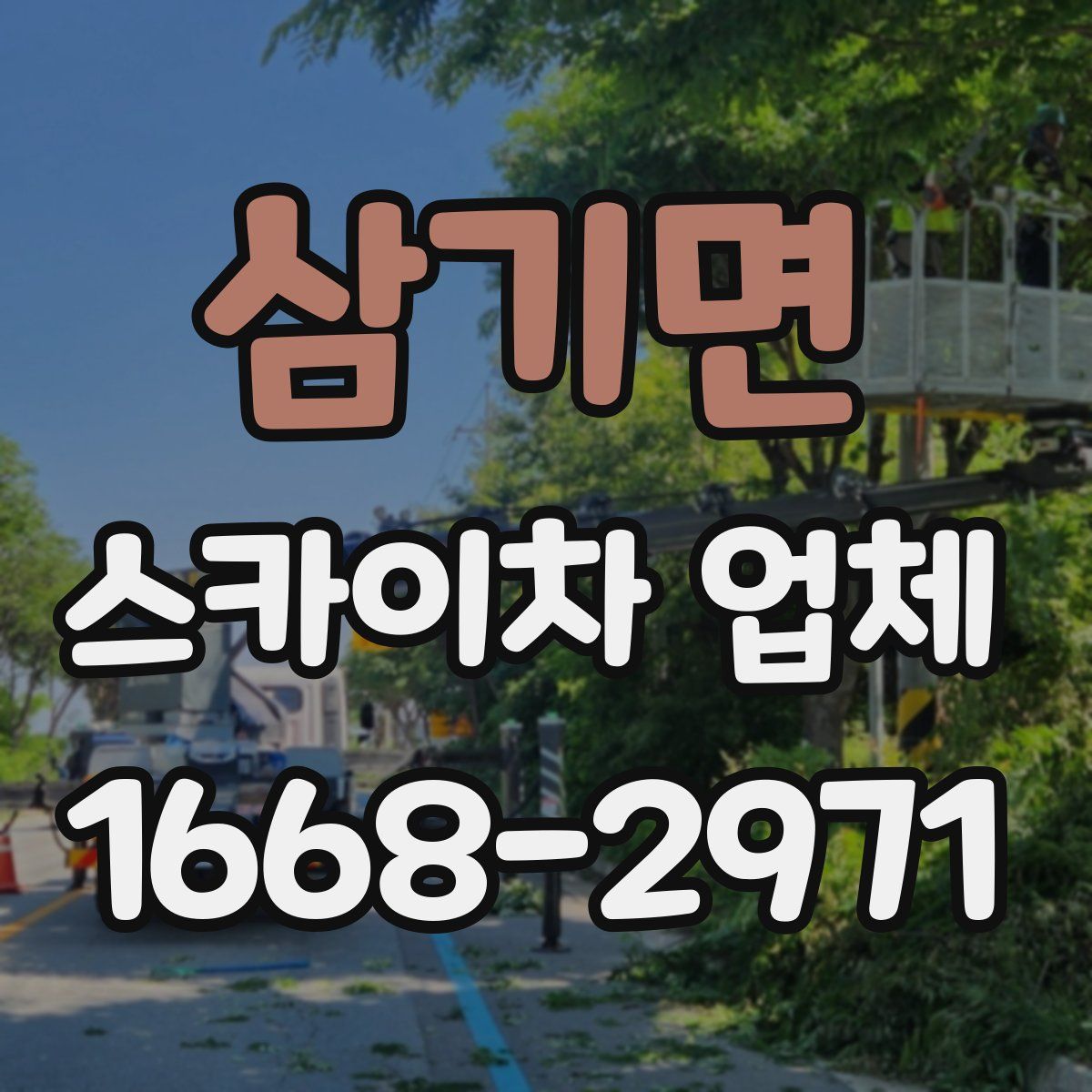 삼기면 스카이차 업체