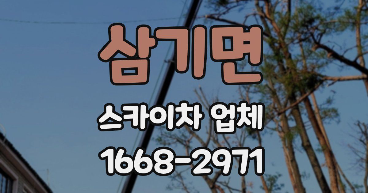삼기면 스카이차 업체