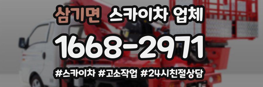 삼기면 스카이차 업체