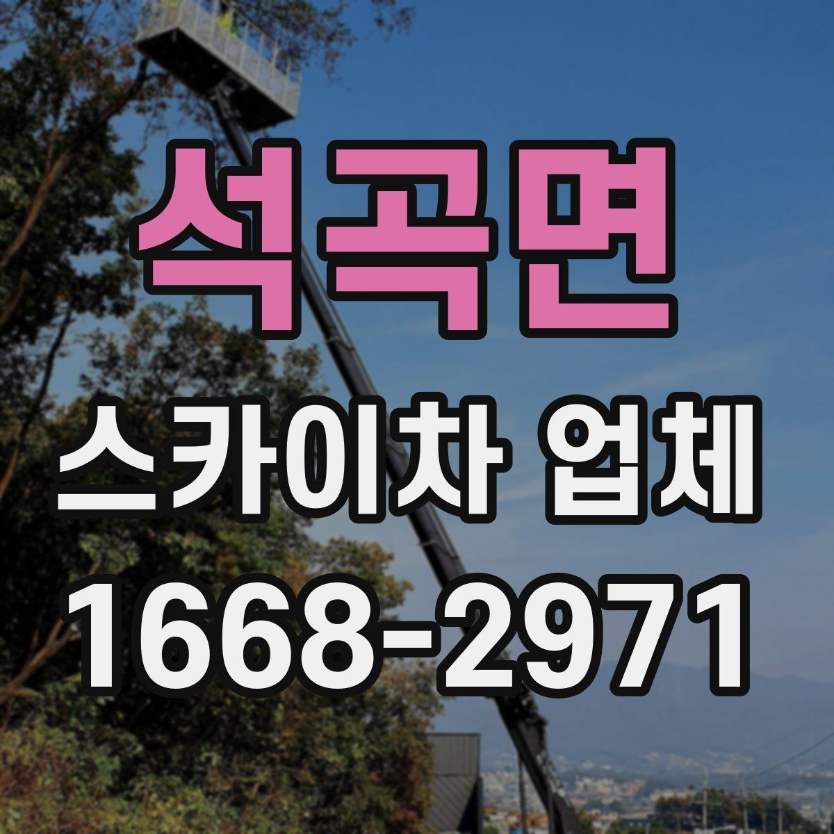 석곡면 스카이차 업체
