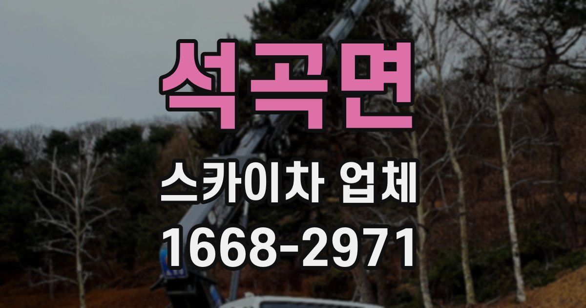 석곡면 스카이차 업체