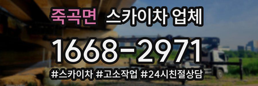 죽곡면 스카이차 업체