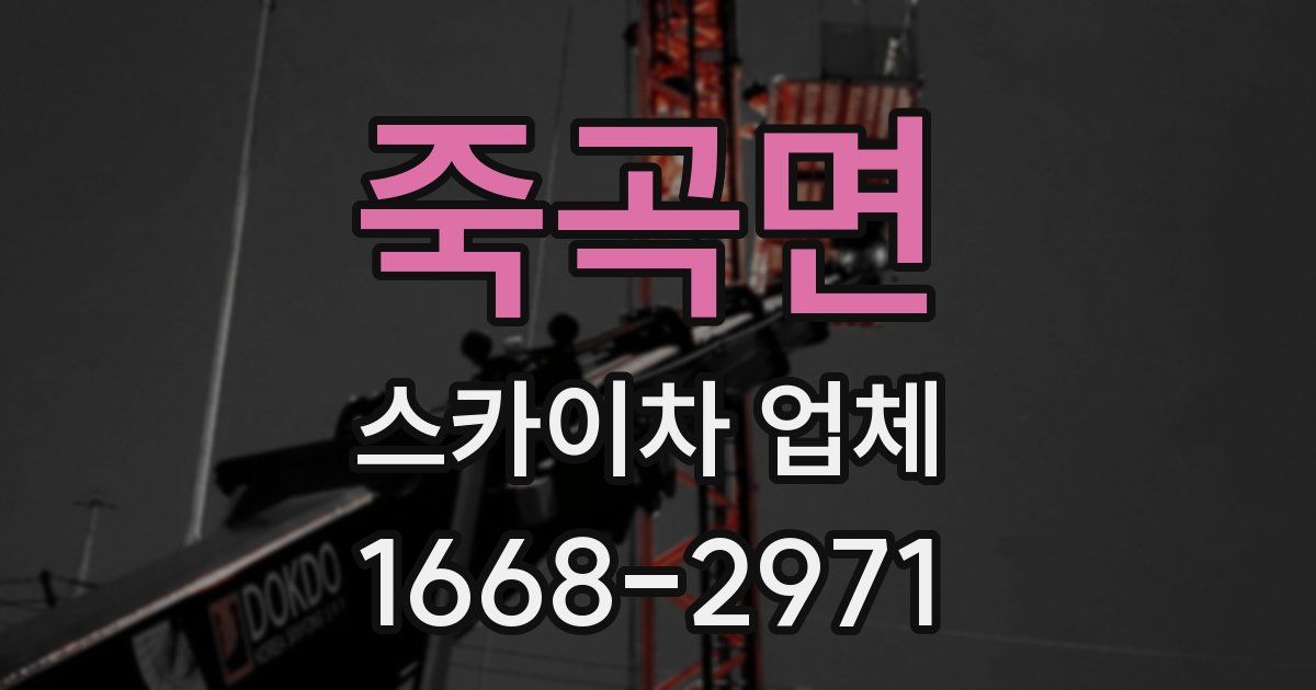 죽곡면 스카이차 업체