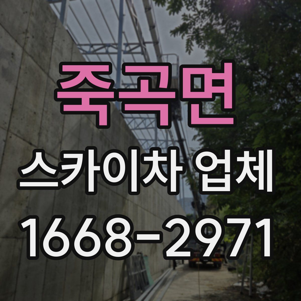 죽곡면 스카이차 업체