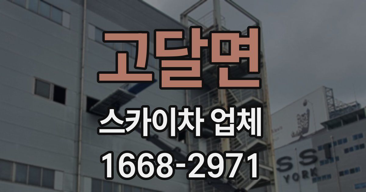 고달면 스카이차 업체