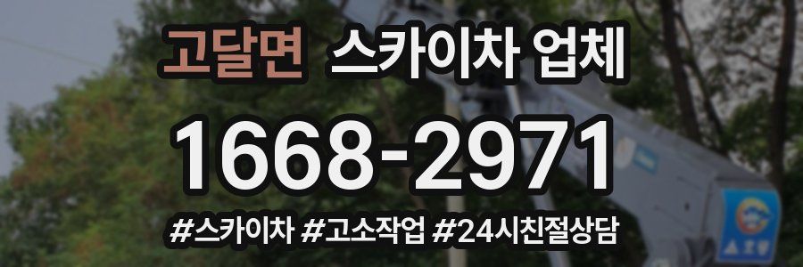 고달면 스카이차 업체