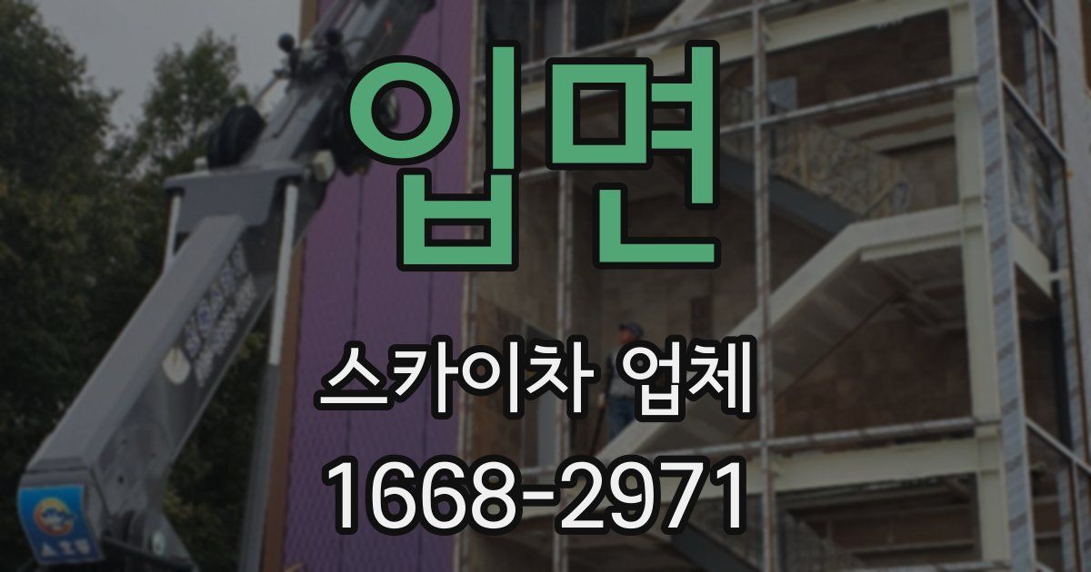 입면 스카이차 업체