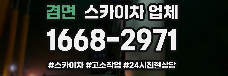 겸면 스카이차 업체