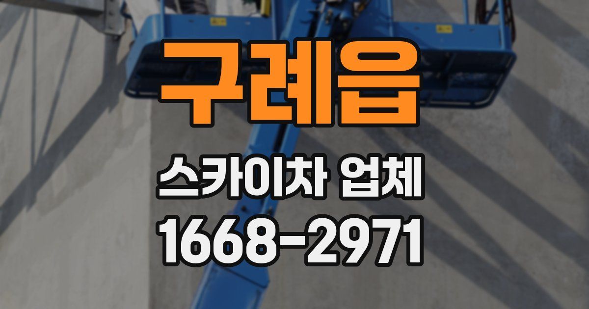 구례읍 스카이차 업체