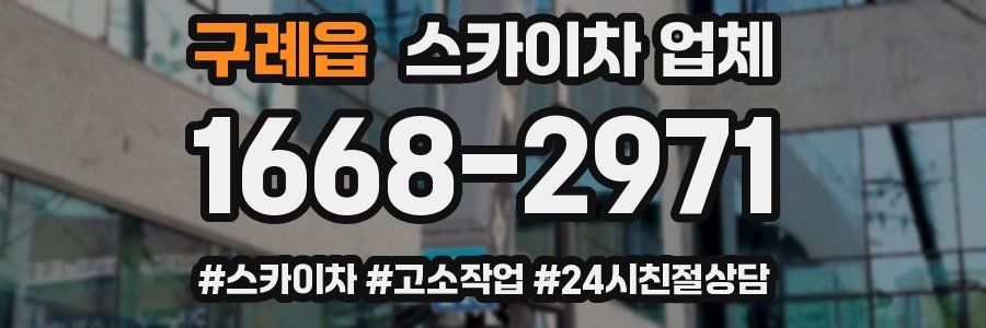 구례읍 스카이차 업체