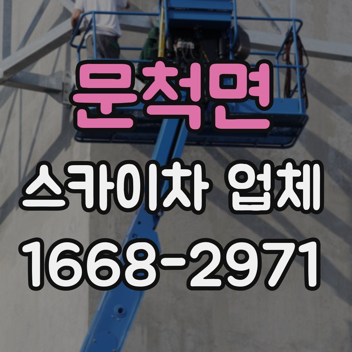 문척면 스카이차 업체