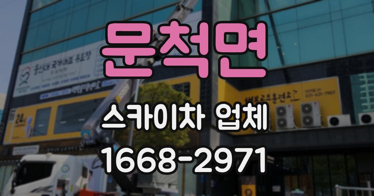 문척면 스카이차 업체