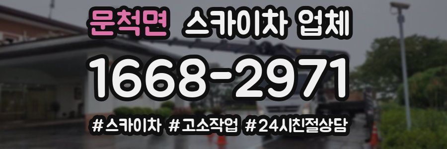 문척면 스카이차 업체