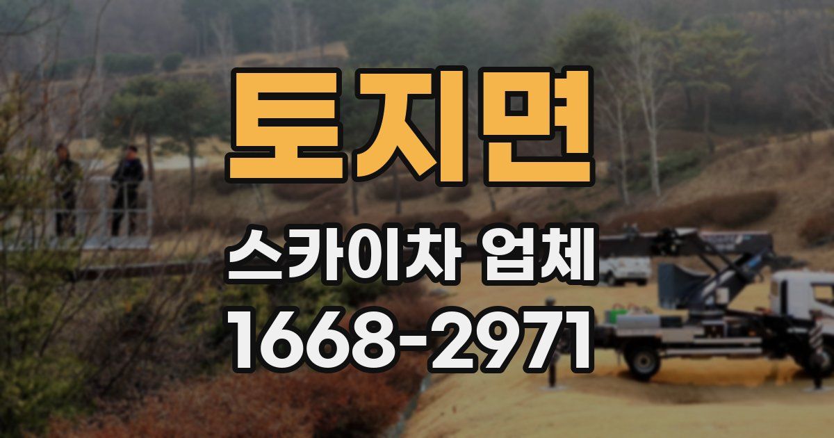 토지면 스카이차 업체