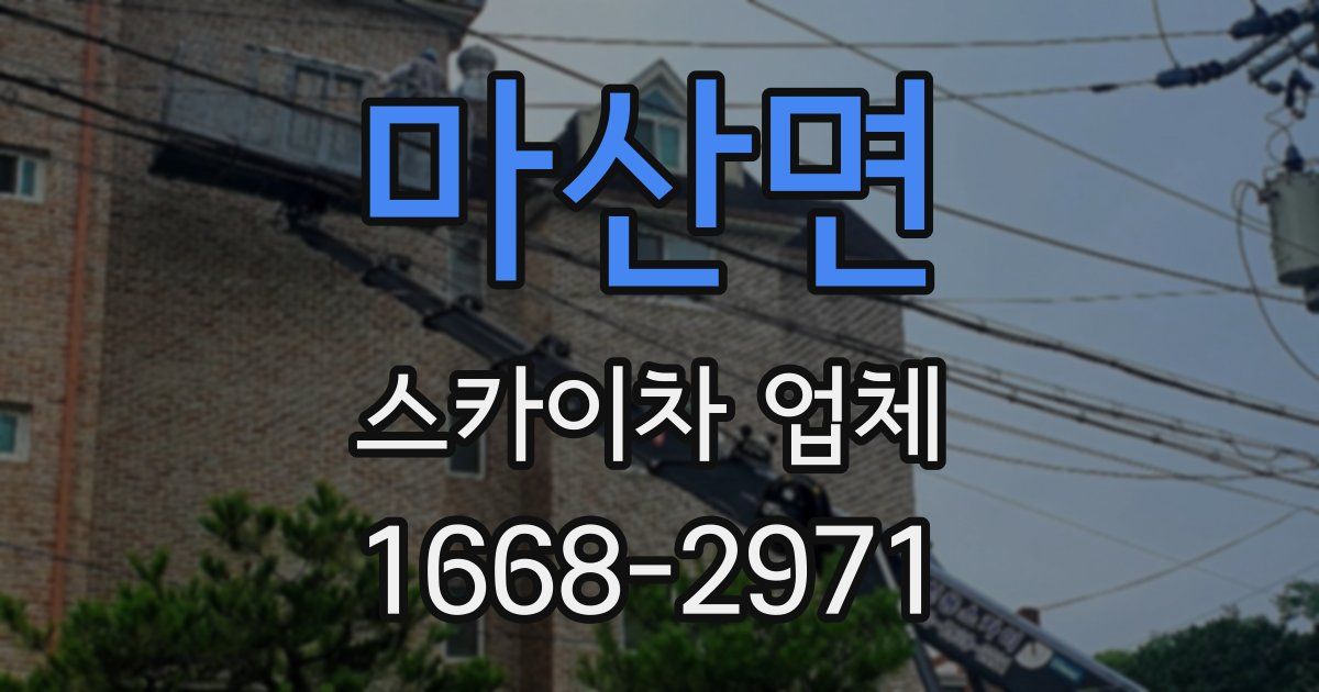 마산면 스카이차 업체
