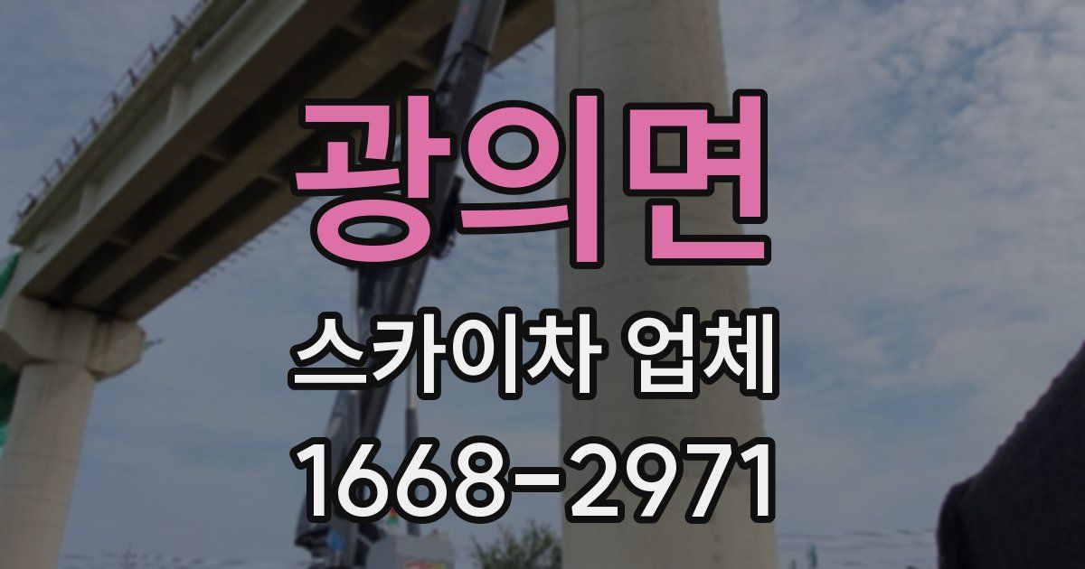 광의면 스카이차 업체