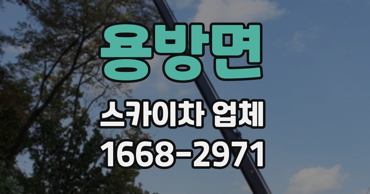 용방면 스카이차 업체