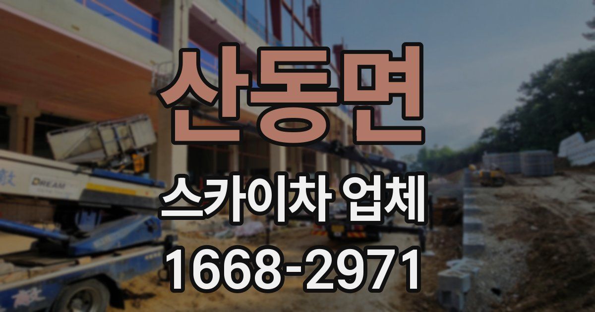 산동면 스카이차 업체