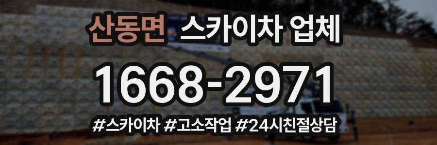 산동면 스카이차 업체
