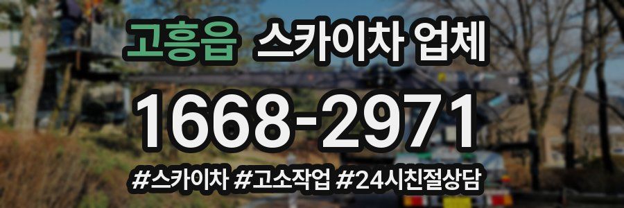 고흥읍 스카이차 업체