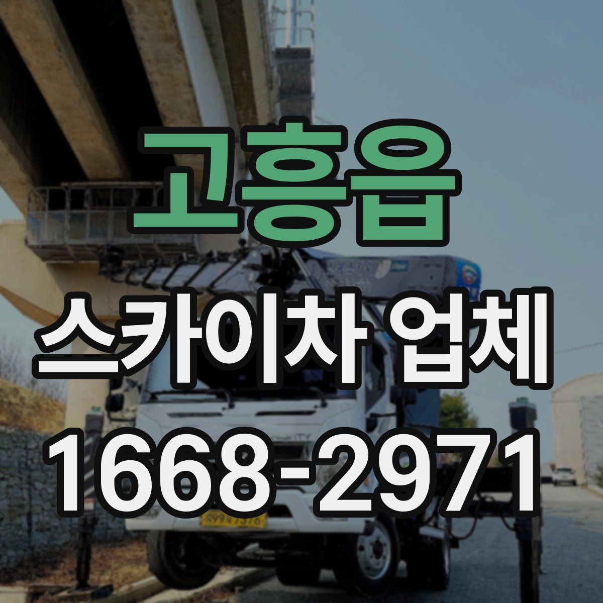 고흥읍 스카이차 업체