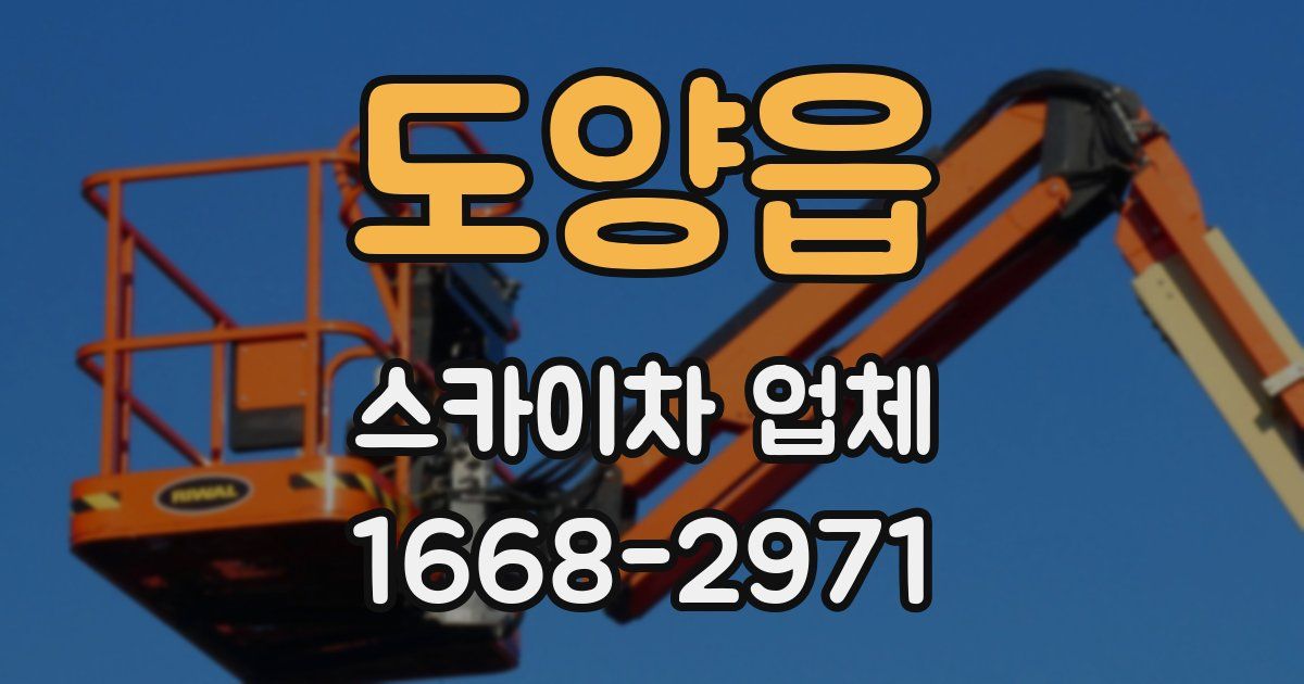 도양읍 스카이차 업체